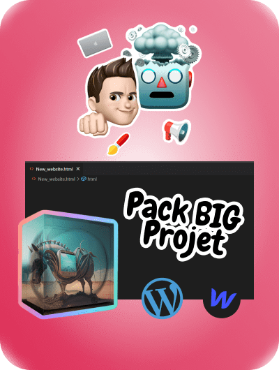 Service Pack big projet